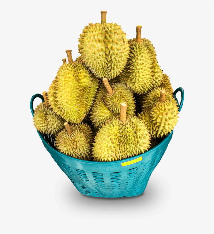 A Cool Cafe Themed Set Up Outlet That Emphasizes Great - Artocarpus Odoratissimus, transparent png download