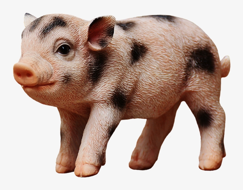 Piglet, Figure, Cute, Funny, Decoration, Deco, Isolated - หมู ลาย จุด, transparent png download