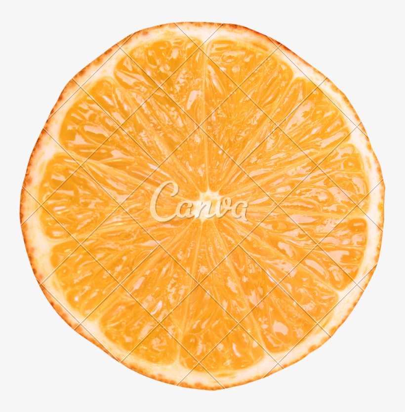 800 X 800 4 - Vintage Orange Slice, transparent png download