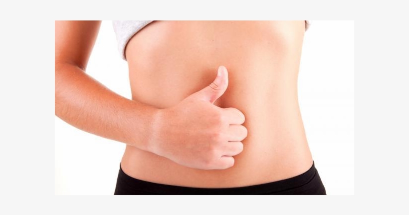 Happy Digestive System - Digestion, transparent png download