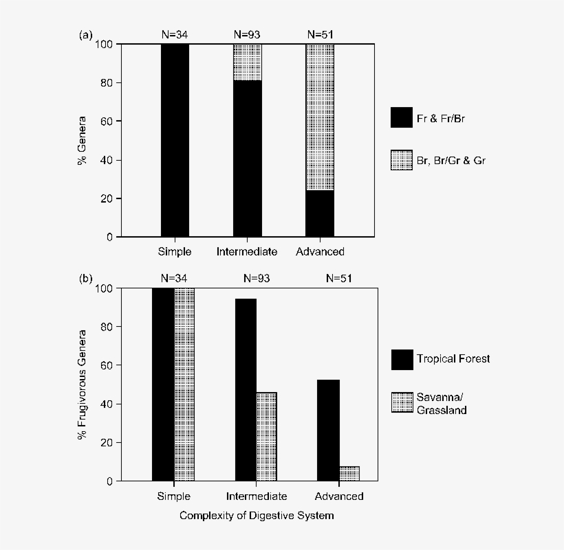 Relationships Between Complexity Of Digestive Systems - Diagram, transparent png download