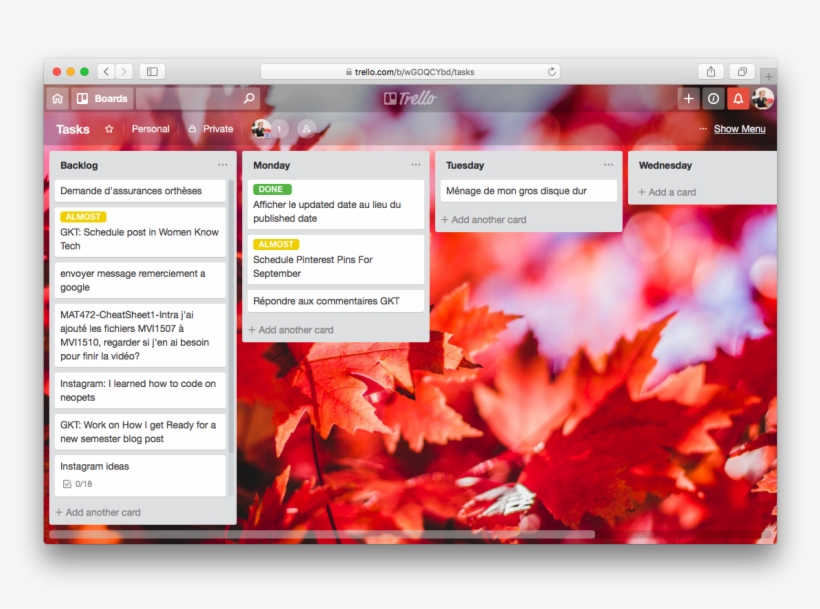 Trello Board With Tasks To Do For Every Day Of The - Maple, transparent png download