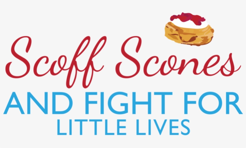 Tingdene Home Is Holding Its Own 'scoff Scones And - Cheesecake, transparent png download