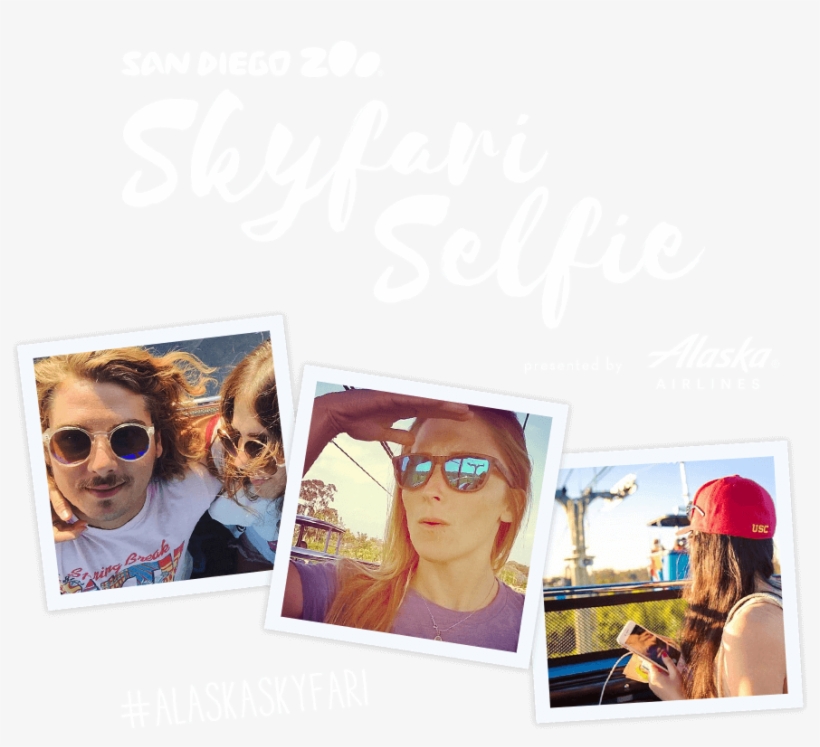 San Diego Zoo Skyfari Selfi Presented By Alaska Airlines - Collage, transparent png download