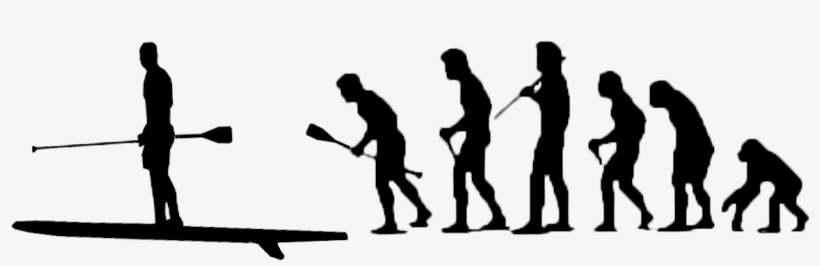 Stand Up Paddle Evolution, transparent png download