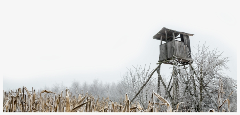 Tree House, transparent png download