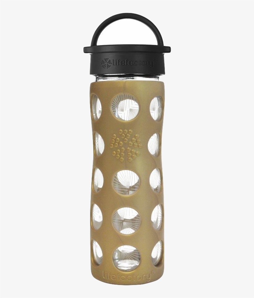 Water Bottle - Glass Water Bottles, transparent png download