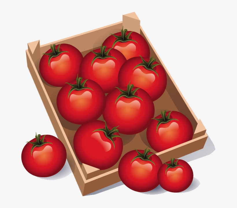 Otras Ventaja Que No Tienen Tanto Que Ver Con Su Consumo - Tomato, transparent png download
