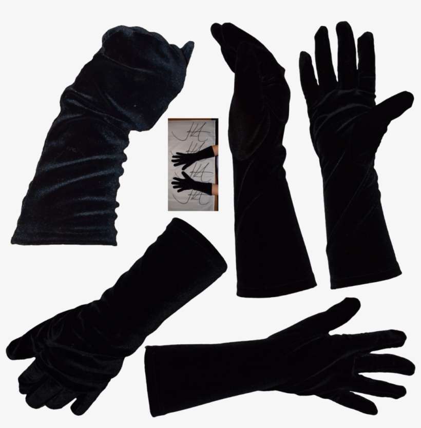 Evening Gloves Png Download Image - Leather, transparent png download