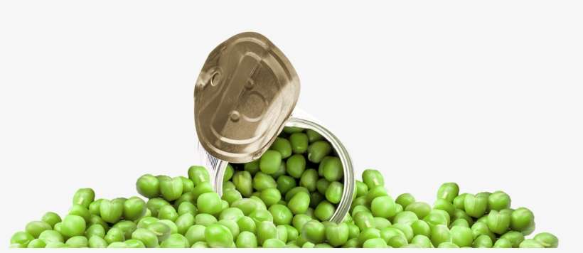 Una Lata Abierta De Chícharos - Snap Pea, transparent png download