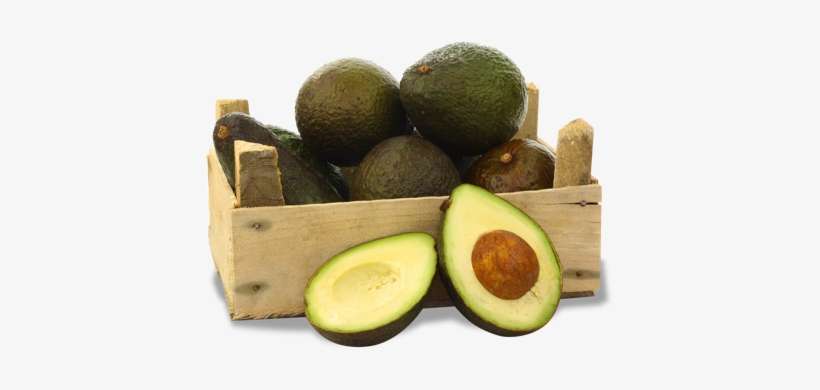 Hacemos Posible Lo Imposible - Avocado, transparent png download