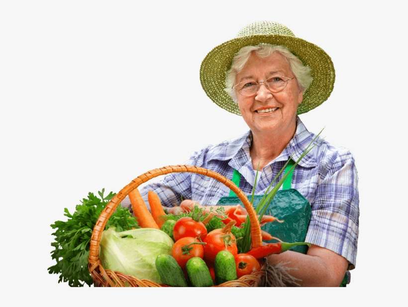 Seleccionamos Las Mejores Frutas Y Verduras - Basket, transparent png download