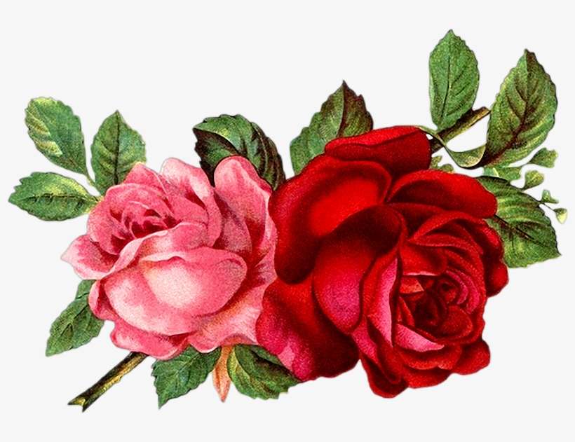 Vintage Roses En Png - Mary Jo Schwarz Quotes, transparent png download