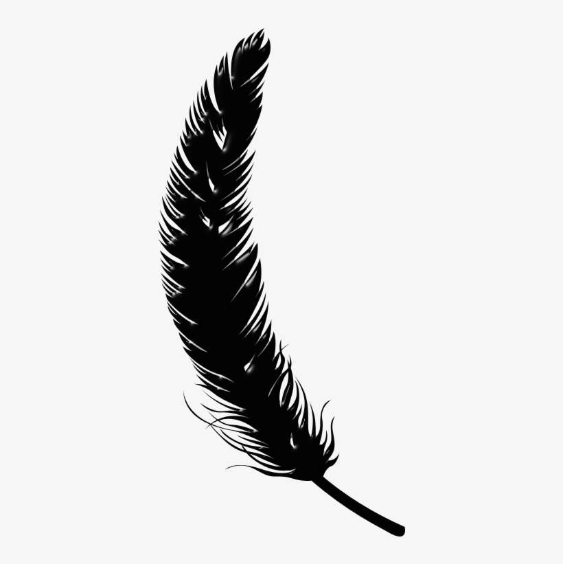 Black Feathers 800 X - Illustration, transparent png download