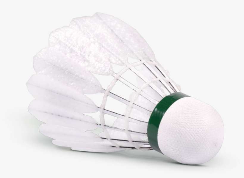 The Specially Designed Foam Feathers Are Build On An - Victor Carbonsonic, transparent png download