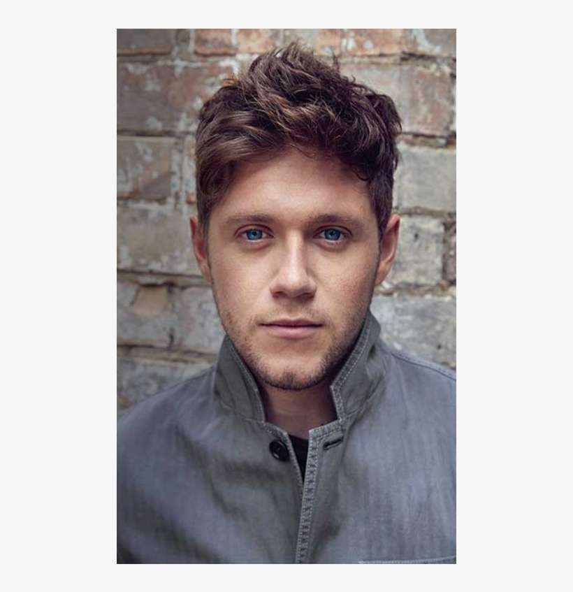 Flicker Poster Niall Horan Flicker Deluxe Album PNG Image Transparent PNG Free Download on