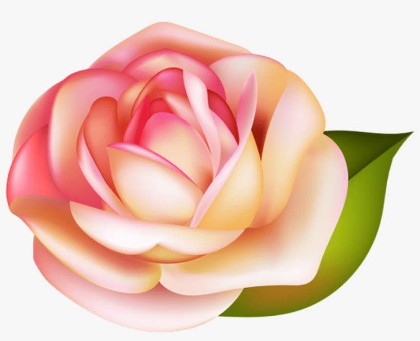 Free Png Rose Png Images Transparent - Portable Network Graphics, transparent png download