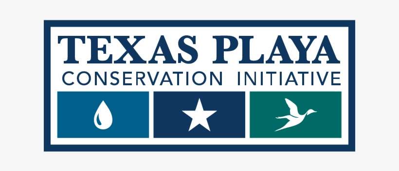 The Texas Playa Conservation Initiative Goal Is To - Daily Express, transparent png download