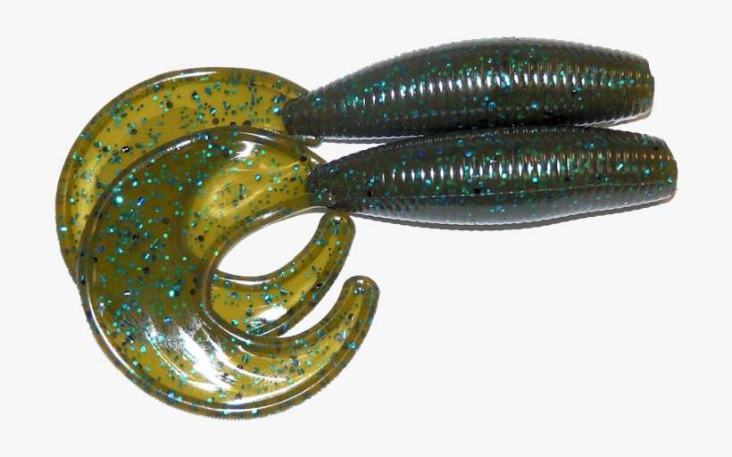 64 Green Pumpkin Las - Fish, transparent png download