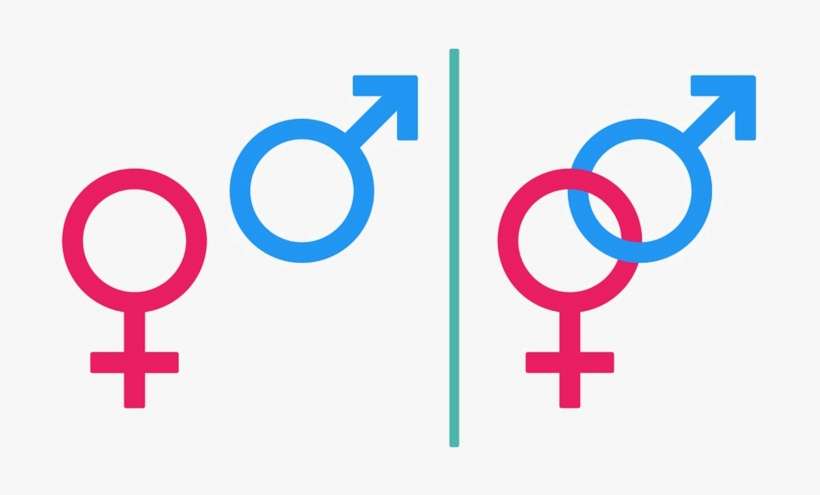 Gender Png Free Download - Male Female, transparent png download