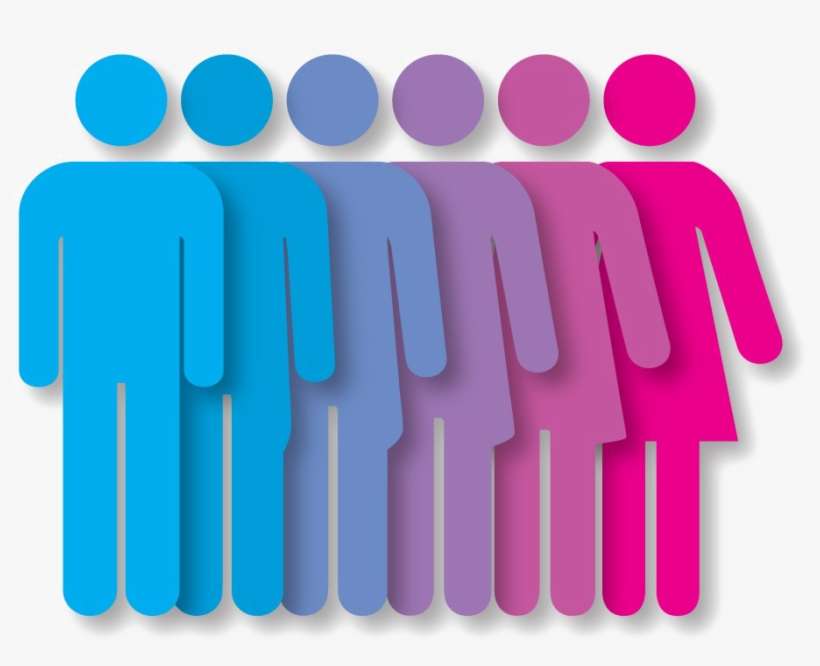 Gender Download Png Image - Que Es Expresion De Genero, transparent png download