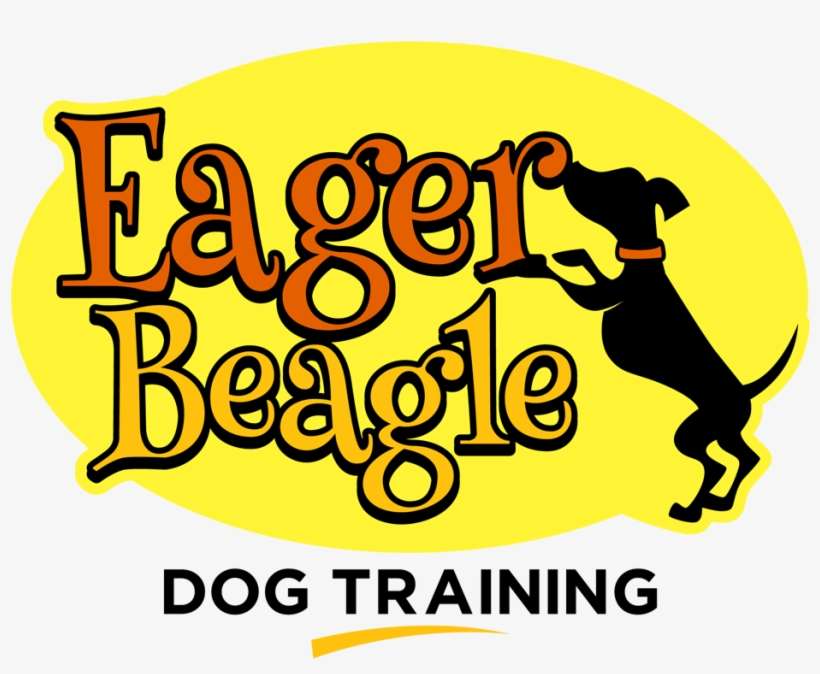 Eager Beagle Dog Training - Dog Grooming, transparent png download