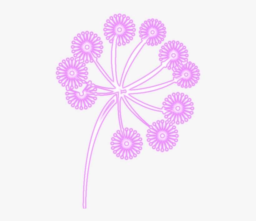Ampliar Esta Imagen - Floral Design, transparent png download