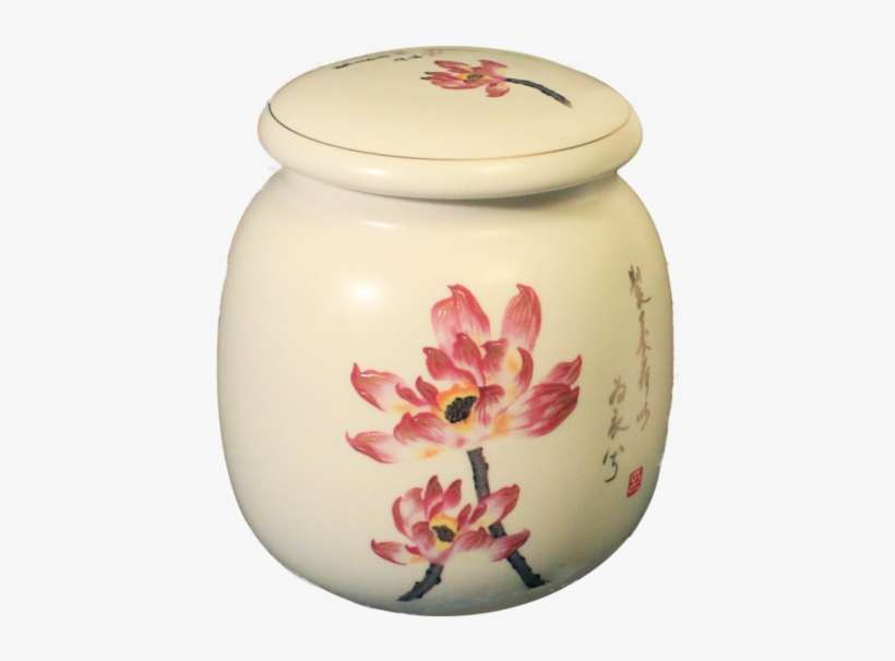 ตัวอย่าง ผลิตภัณฑ์ เซรา มิ ก ส์ ที่ พบ ใน ชีวิต ประจำ, transparent png download