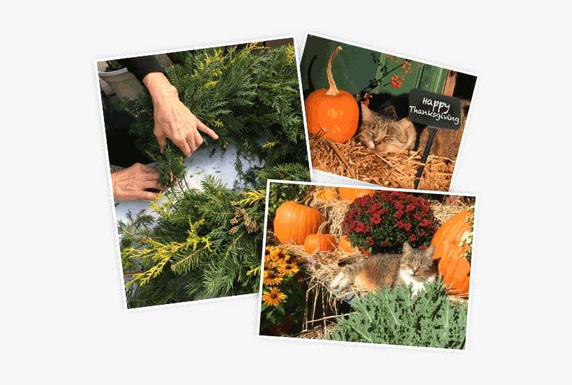 Christmas Shop - Christmas Ornament, transparent png download