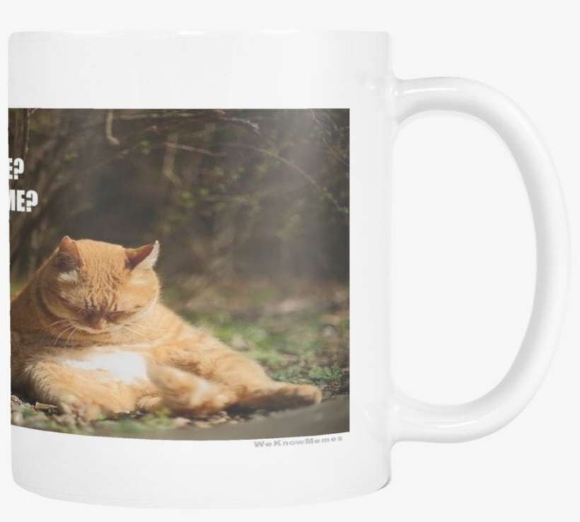 Fat Cat Regrets Meme 11 Ounce Coffee Mug - Sleepy Kitten, transparent png download