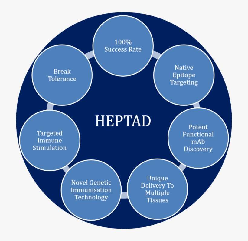 Building A Pipeline Of Unique Assets Enabled By A World-leading - Diagram, transparent png download