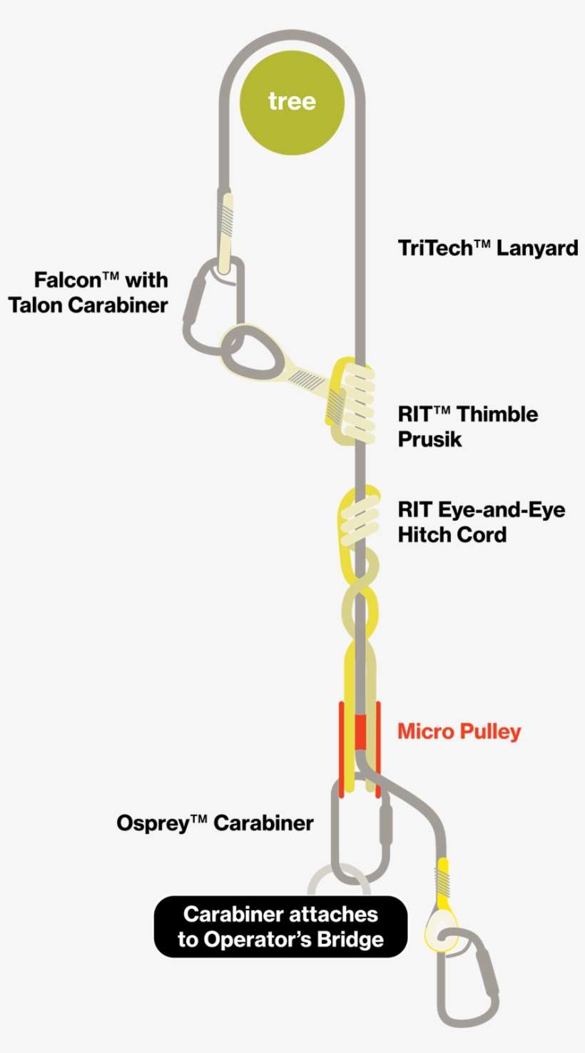 Single Leg Up Off The Bridge - Circle, transparent png download