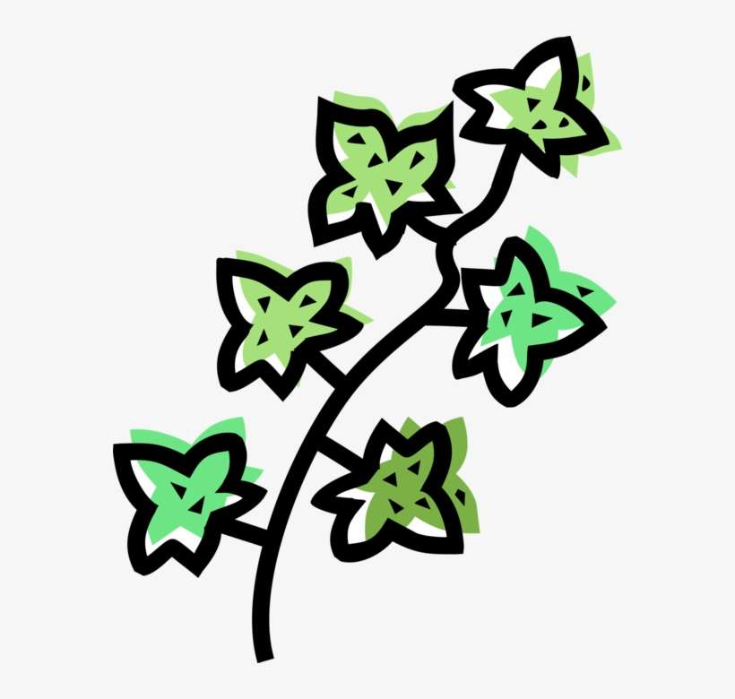 Vector Illustration Of Botanical Horticulture Garden, transparent png download