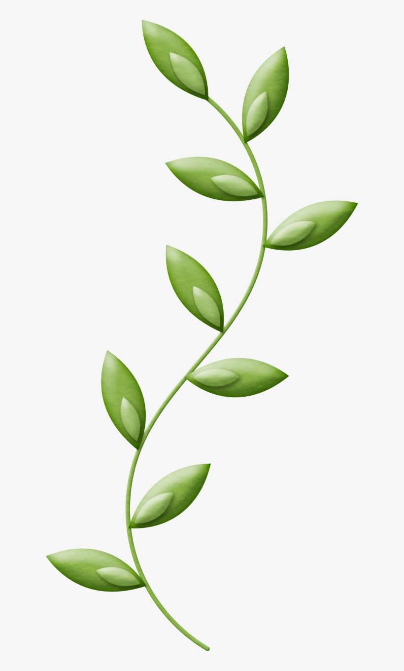 Яндекс - Фотки - Dia Nacional De La Enfermera, transparent png download