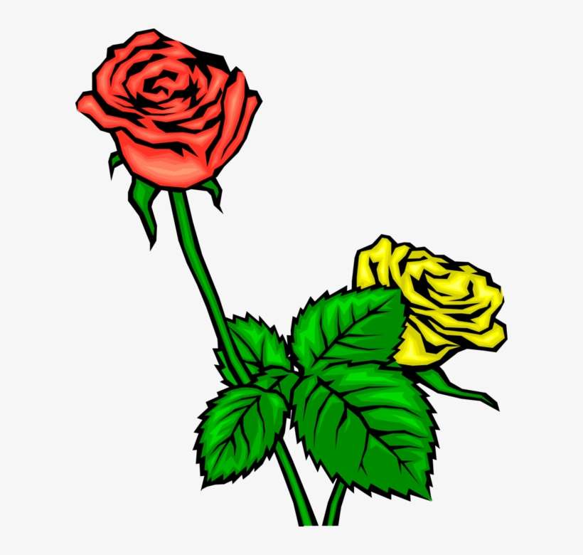 Vector Illustration Of Red And Yellow Flower Roses - Garden Roses, transparent png download