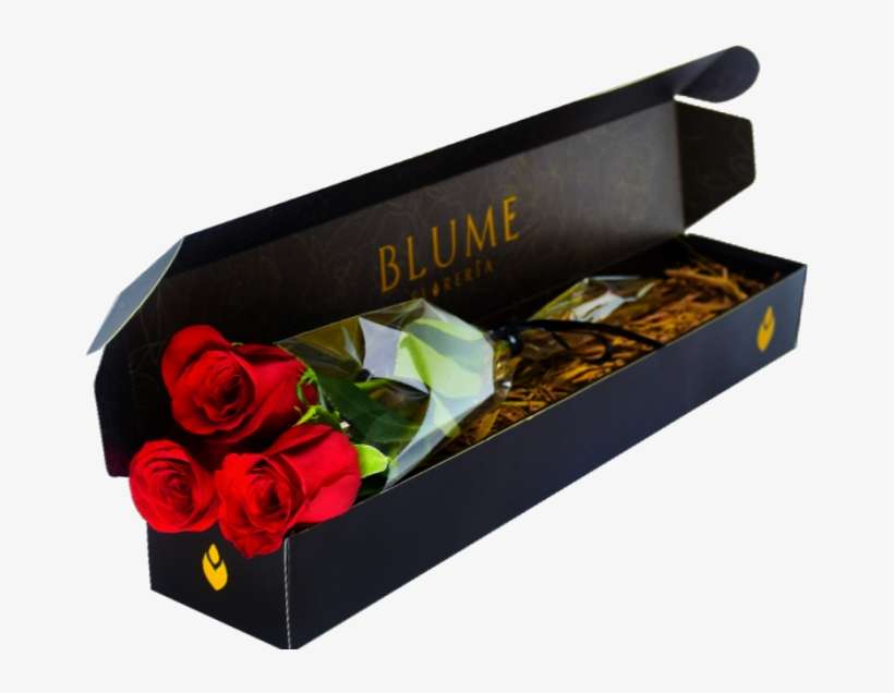 Caja De 3 Rosas Rojas - Garden Roses, transparent png download
