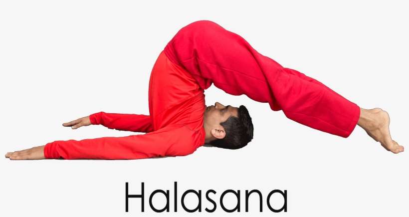 Yoga Poses - Stretching, transparent png download