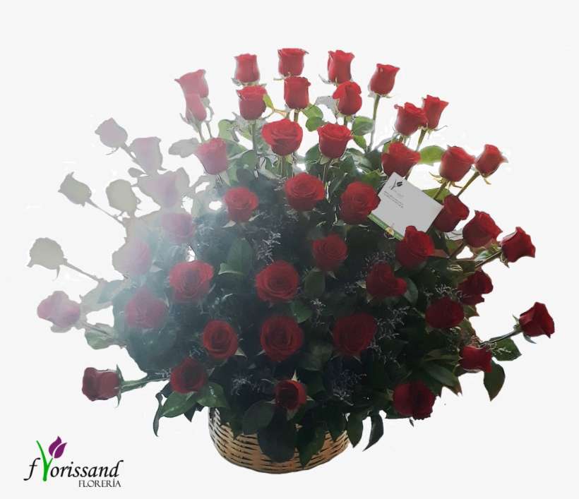 50 Rosas Rojas - Flower, transparent png download