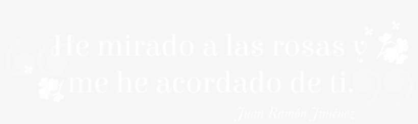 Flores Y Plantas - Spotify White Logo Png, transparent png download