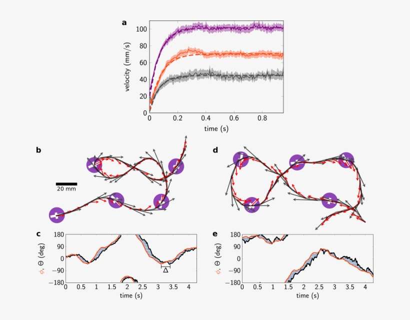 Inertial Delay In Particle Trajectories - Plot, transparent png download