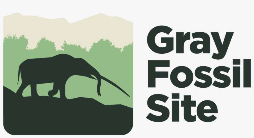 Gray Fossil Site - Ways To Relieve Stress, transparent png download