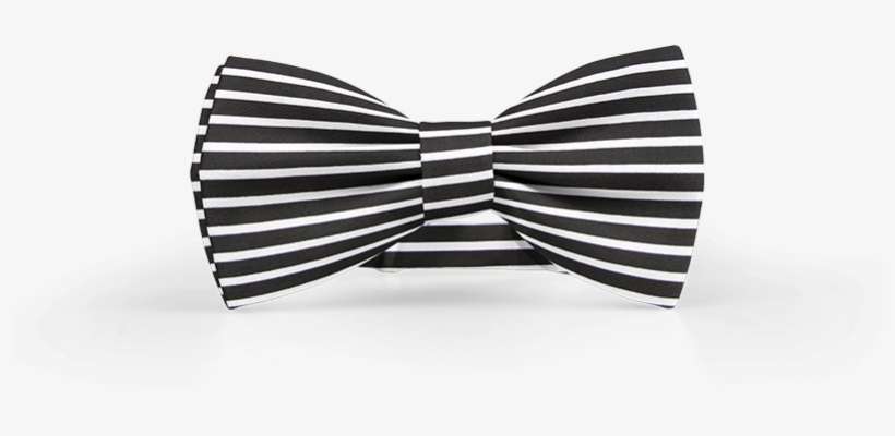 Musical Instrument, transparent png download