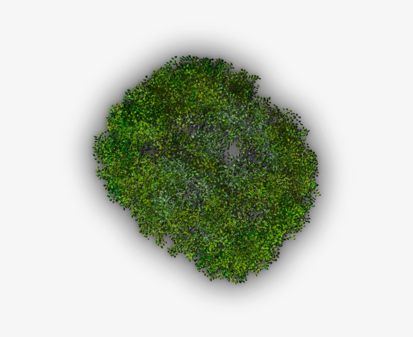 08 720k Tree Jrl2b - Grass, transparent png download