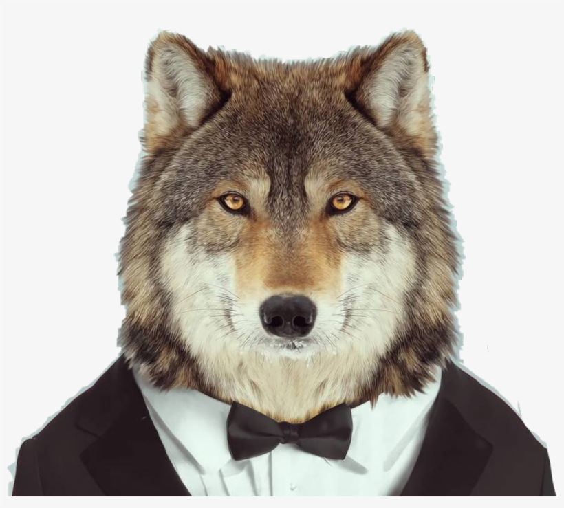 Wolf Sticker - Animales Como Humanos, transparent png download
