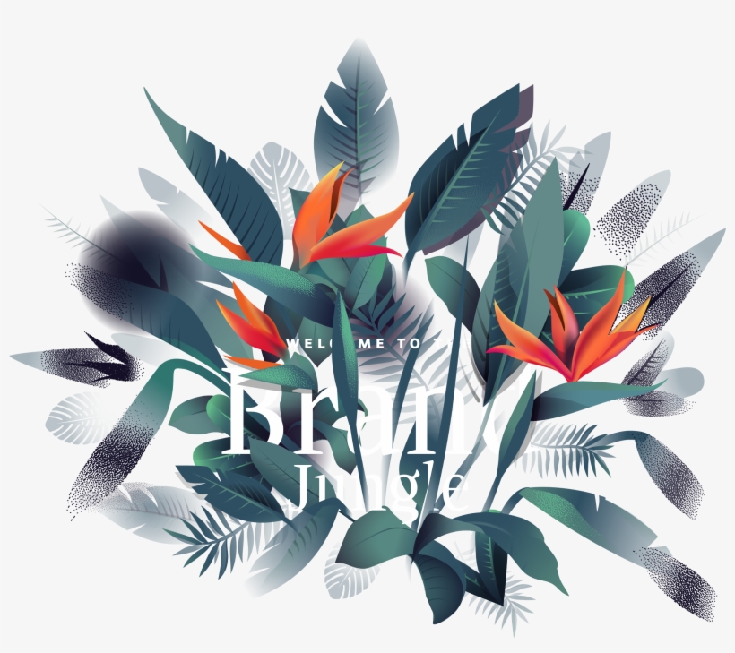 Brand Jungle Par Seenk - Illustration, transparent png download