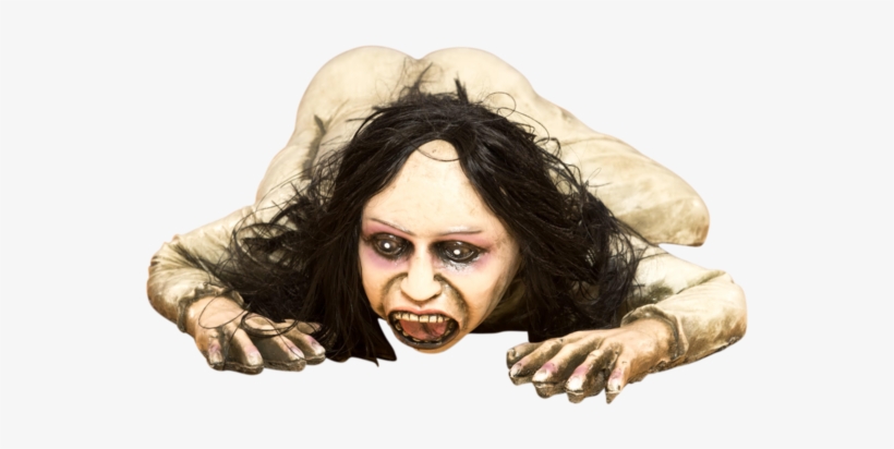 Photo Shoot, transparent png download