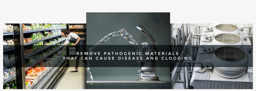 Pathogens-banner1 - Trophy, transparent png download