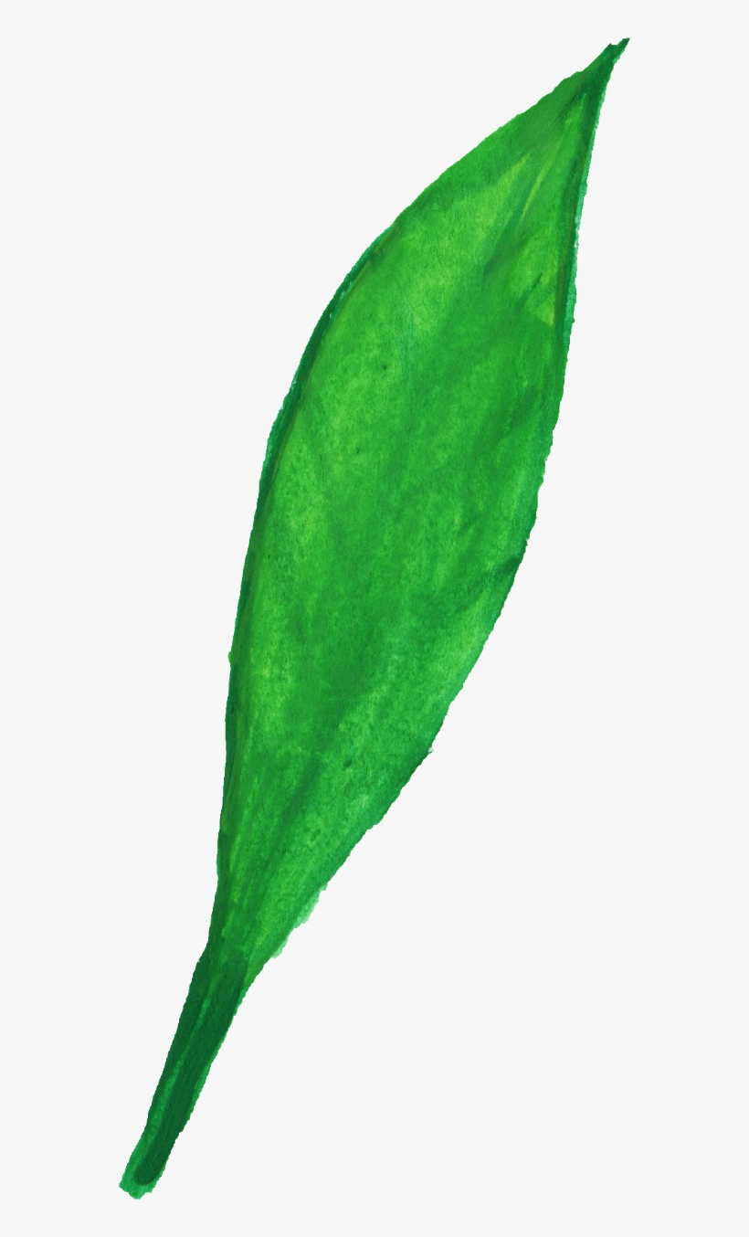 Free Download - Grass, transparent png download