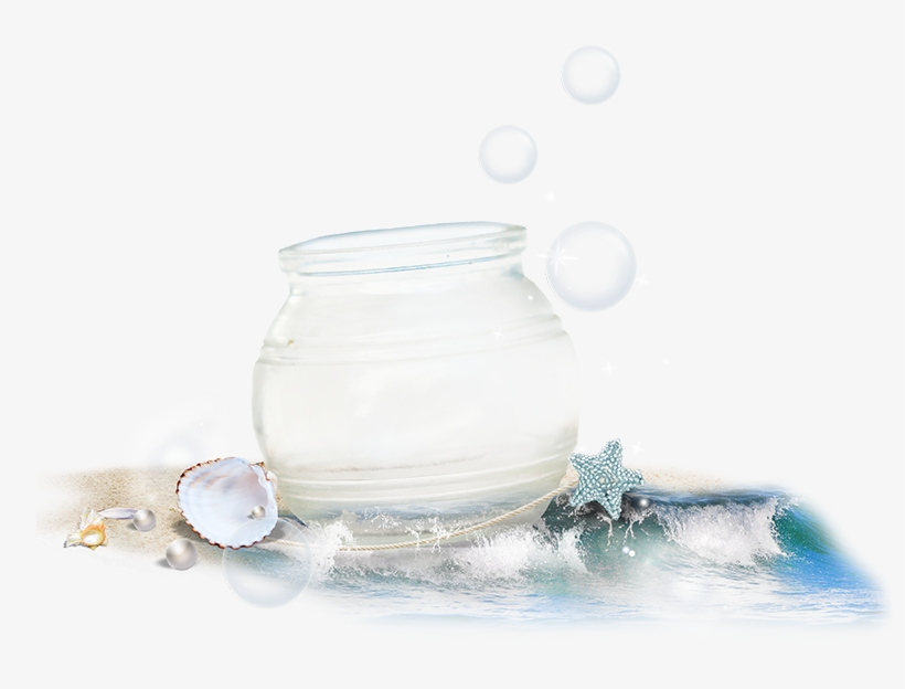 Crystal Pot With Sea Shells - Still Life Photography, transparent png download