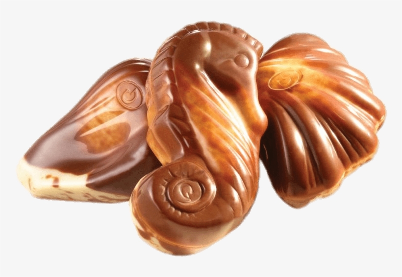 Food - Seashell Guylian Chocolate, transparent png download